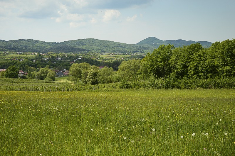 Pieninki Skrzydlańskie