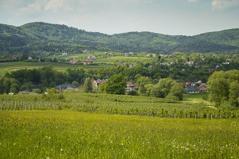 Pieninki Skrzydlańskie