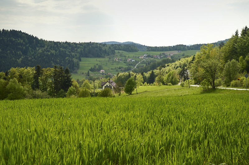 Przełęcz Jaworzyce