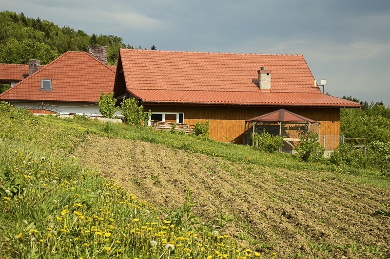 64 - Pieninki Skrzydlańskie i Wierzbanowska Góra majowo