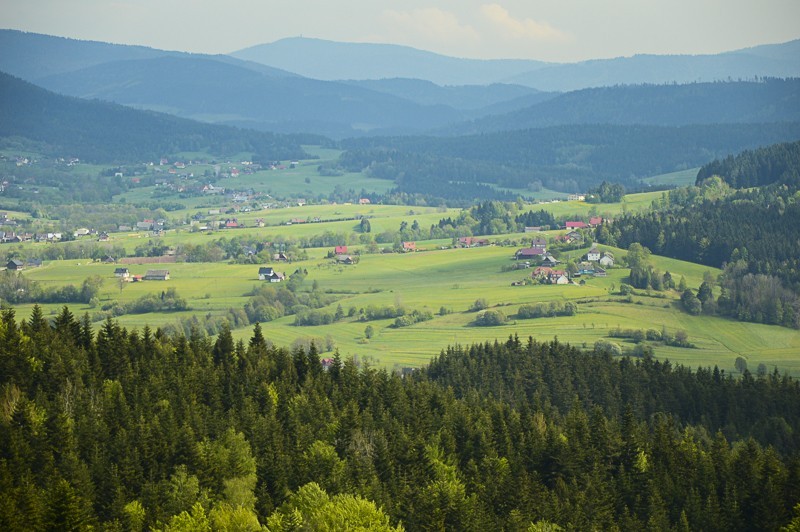 68 - Pieninki Skrzydlańskie i Wierzbanowska Góra majowo