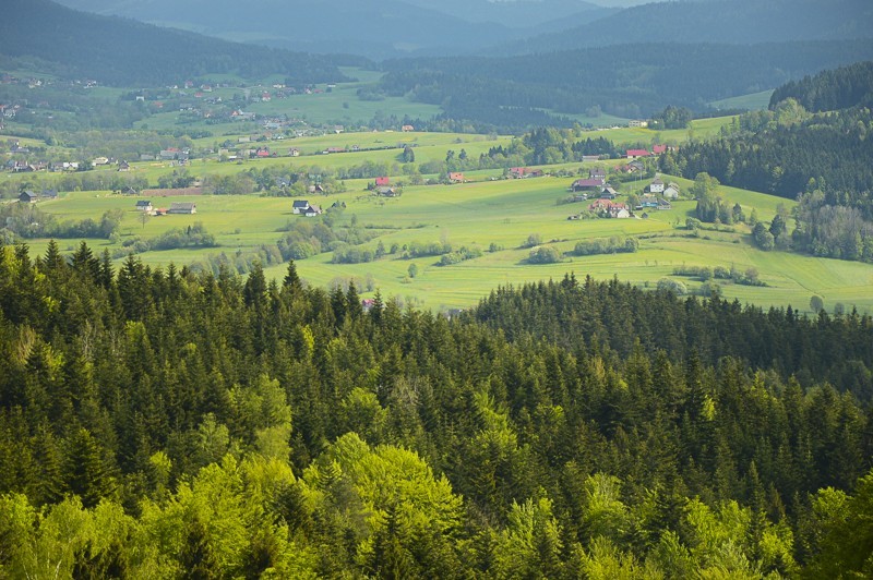 69 - Pieninki Skrzydlańskie i Wierzbanowska Góra majowo