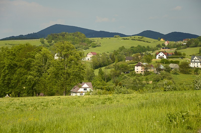 Pieninki Skrzydlańskie