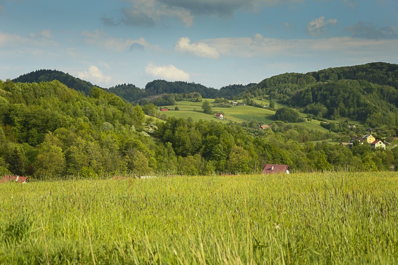 Pieninki Skrzydlańskie