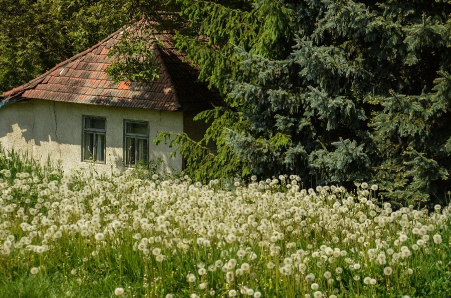 23 - Widokowo i polanowo. Pohronský Inovec