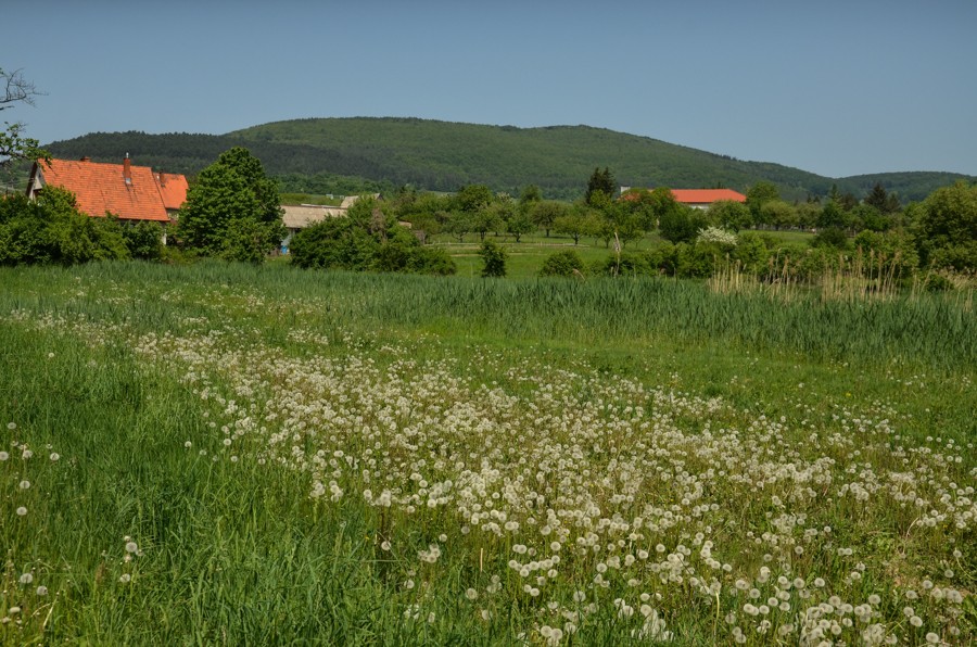 30 - Widokowo i polanowo. Pohronský Inovec