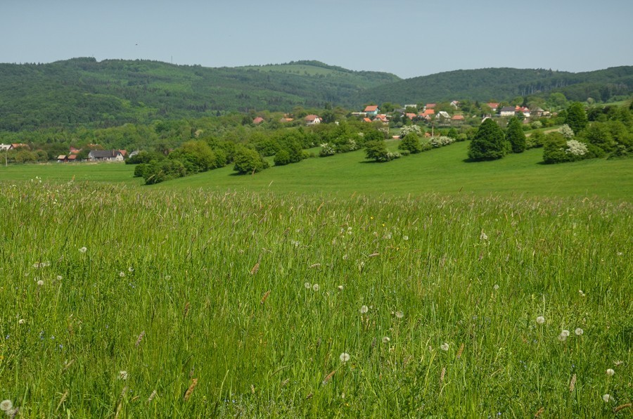 38 - Widokowo i polanowo. Pohronský Inovec