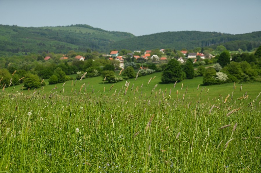 41 - Widokowo i polanowo. Pohronský Inovec