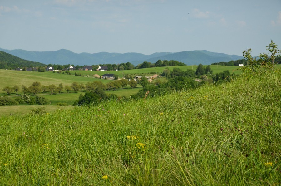 54 - Widokowo i polanowo. Pohronský Inovec