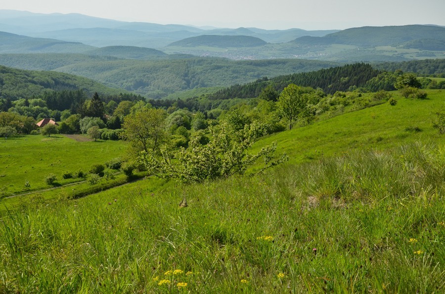 55 - Widokowo i polanowo. Pohronský Inovec