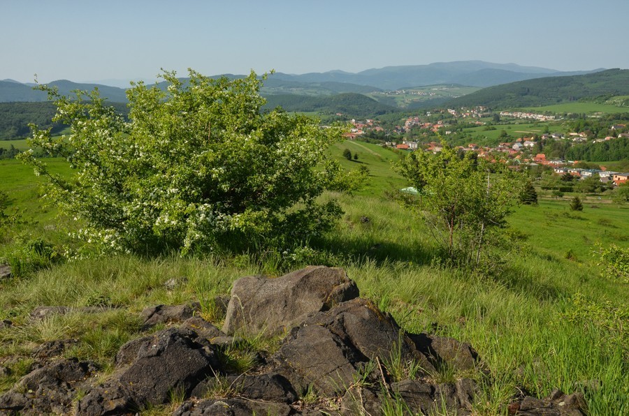 56 - Widokowo i polanowo. Pohronský Inovec