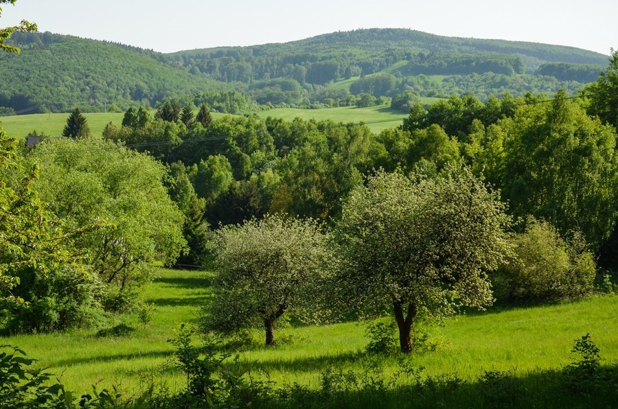 67 - Widokowo i polanowo. Pohronský Inovec