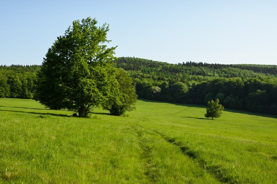 69 - Widokowo i polanowo. Pohronský Inovec