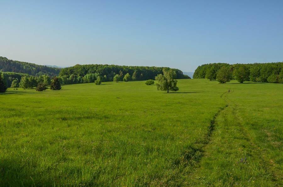 70 - Widokowo i polanowo. Pohronský Inovec