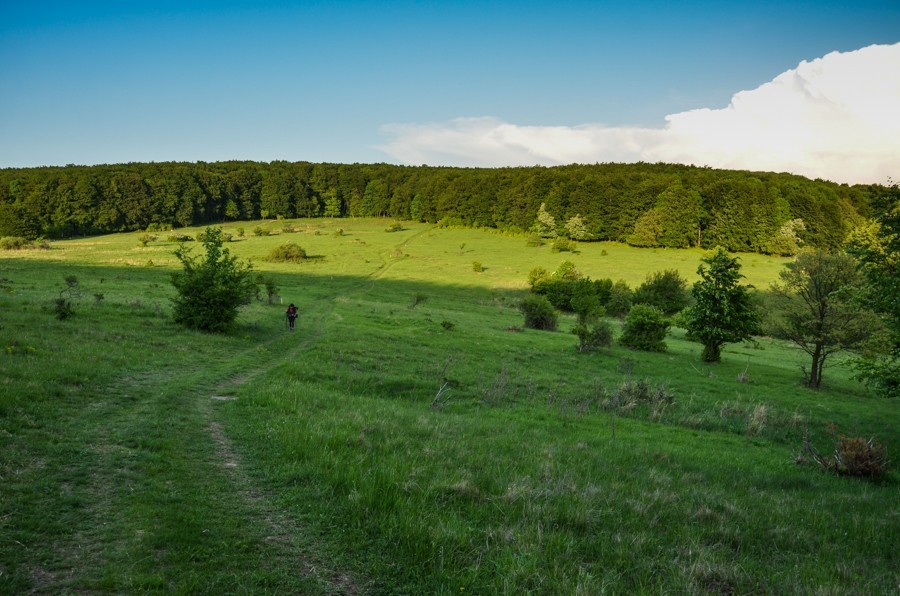 83 - Widokowo i polanowo. Pohronský Inovec