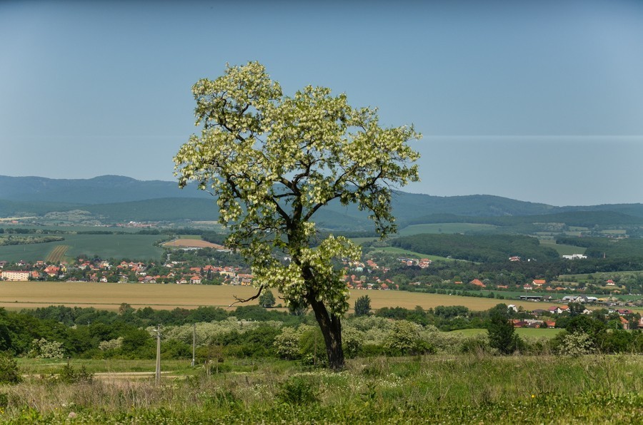 26 - Benát, Nitra i Topoľčianky, czyli powrót z gór