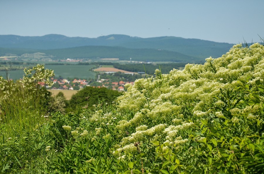 35 - Benát, Nitra i Topoľčianky, czyli powrót z gór