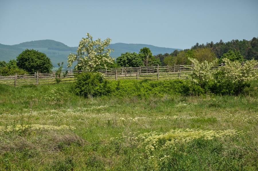 37 - Benát, Nitra i Topoľčianky, czyli powrót z gór