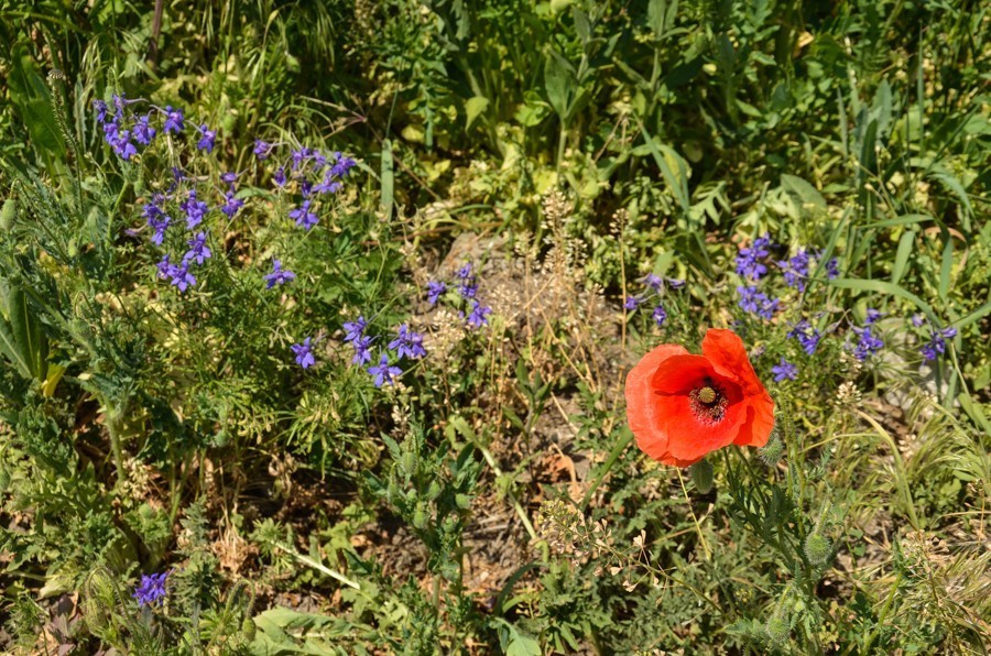 38 - Benát, Nitra i Topoľčianky, czyli powrót z gór