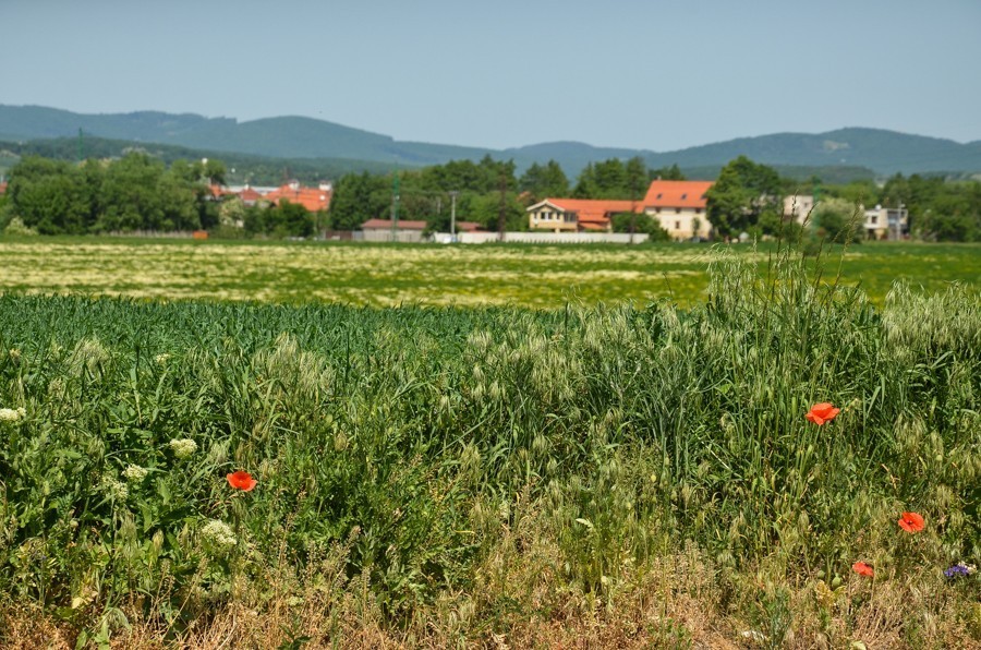 40 - Benát, Nitra i Topoľčianky, czyli powrót z gór