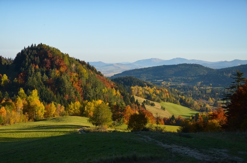 Straňanské sedlo