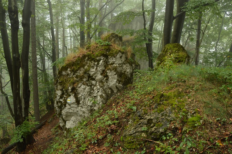 52 - Ostré, Hrdošná skala i Havran. Skałkowo i mgliście