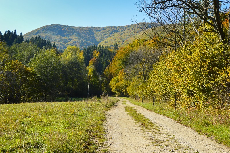 Strážov z Čičman