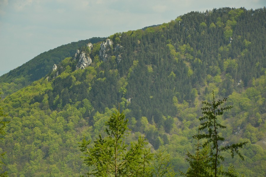 13 - Góry Strażowskie.  Rohatá skala i Ostrá Malenica