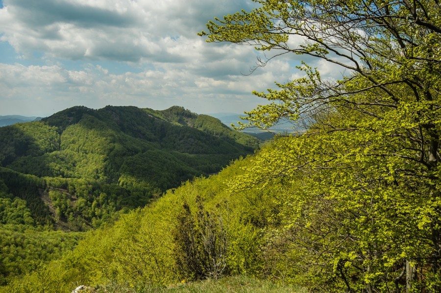 Góry Strażowskie