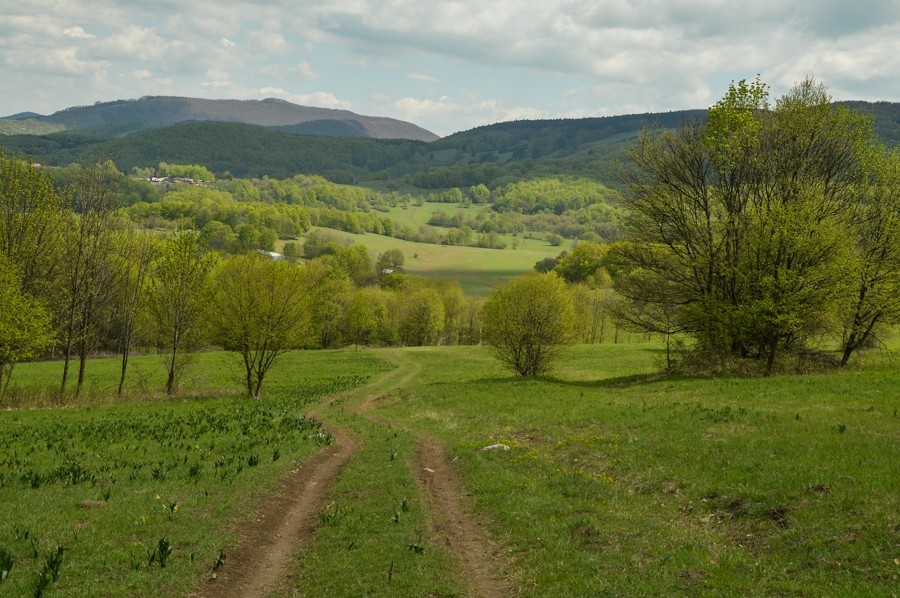 Góry Strażowskie