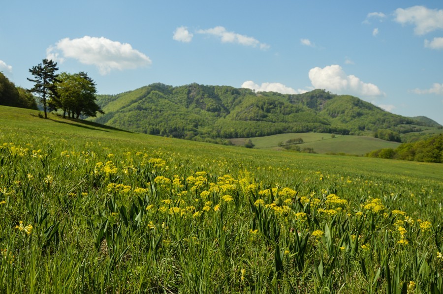 Góry Strażowskie