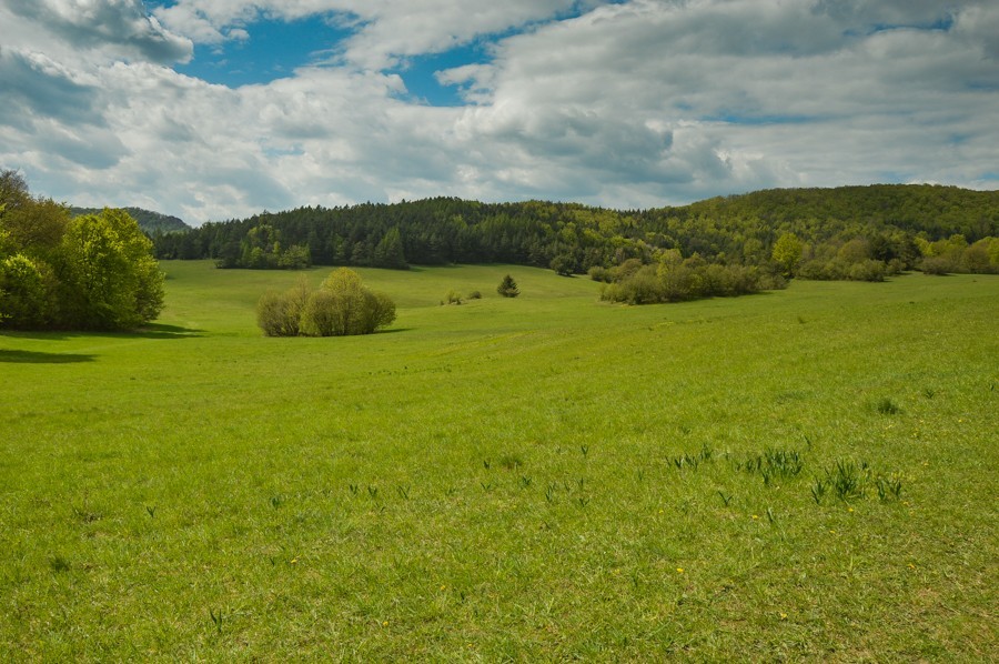 31 - Góry Strażowskie.  Rohatá skala i Ostrá Malenica