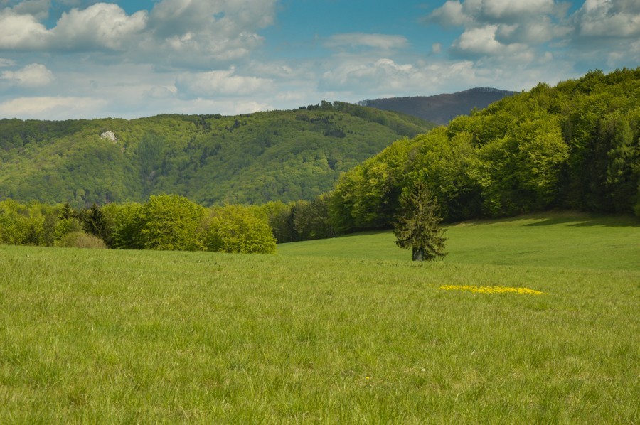 Góry Strażowskie