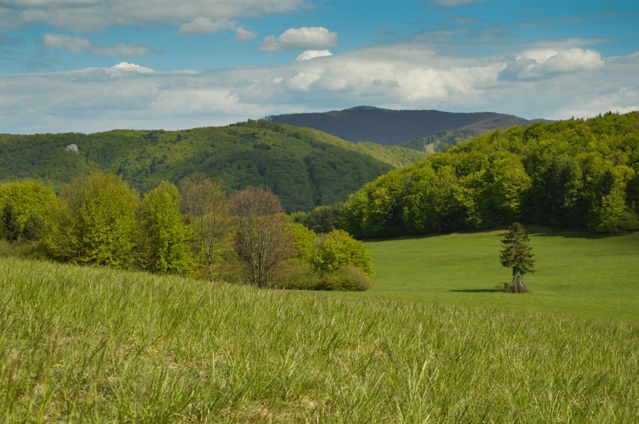 Góry Strażowskie