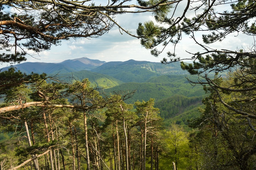 47 - Góry Strażowskie.  Rohatá skala i Ostrá Malenica