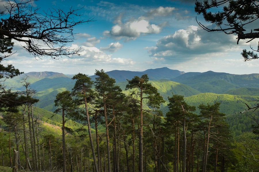 Góry Strażowskie