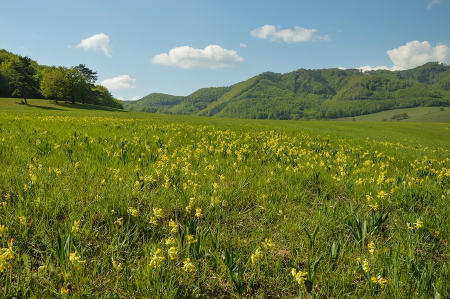 Góry Strażowskie