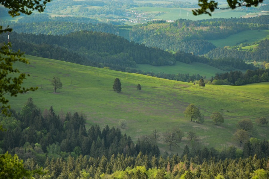 Zejście do Podmalenice