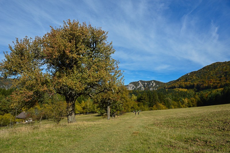 Zraková pyramída