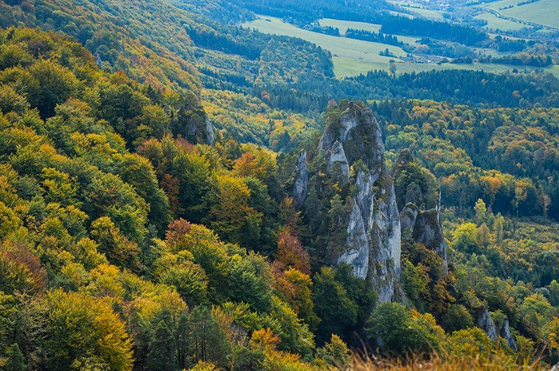 Súľovské skaly