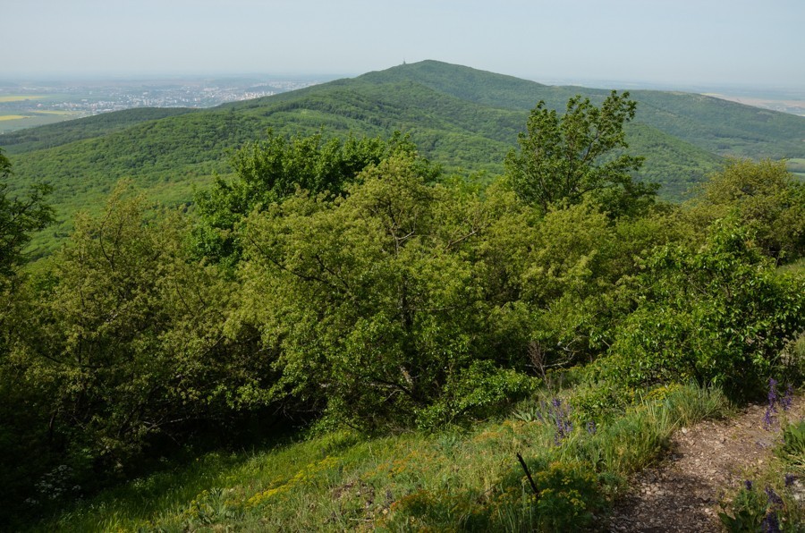 56 - Góry Trybecz (Tribeč): zamek Gýmeš i Veľký Tribeč