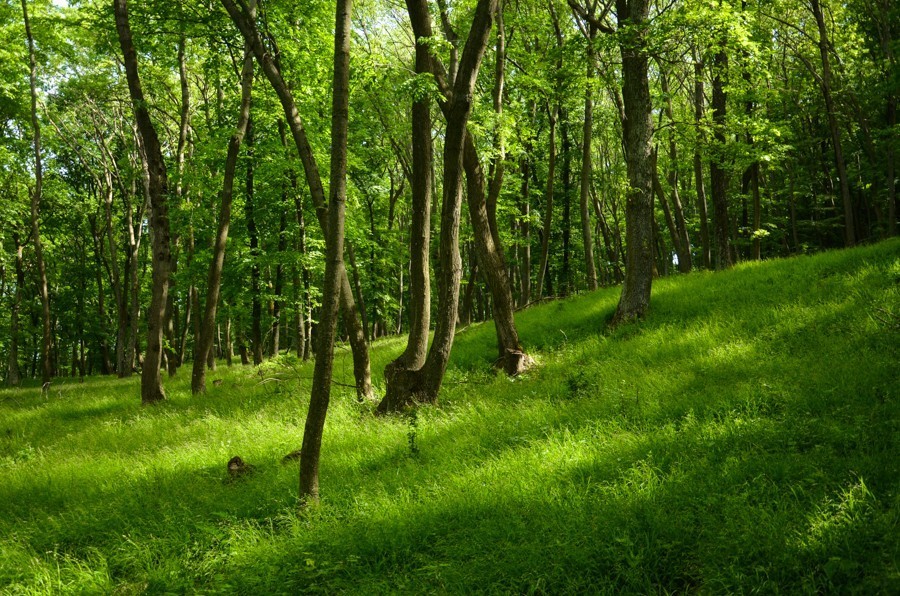 64 - Góry Trybecz (Tribeč): zamek Gýmeš i Veľký Tribeč