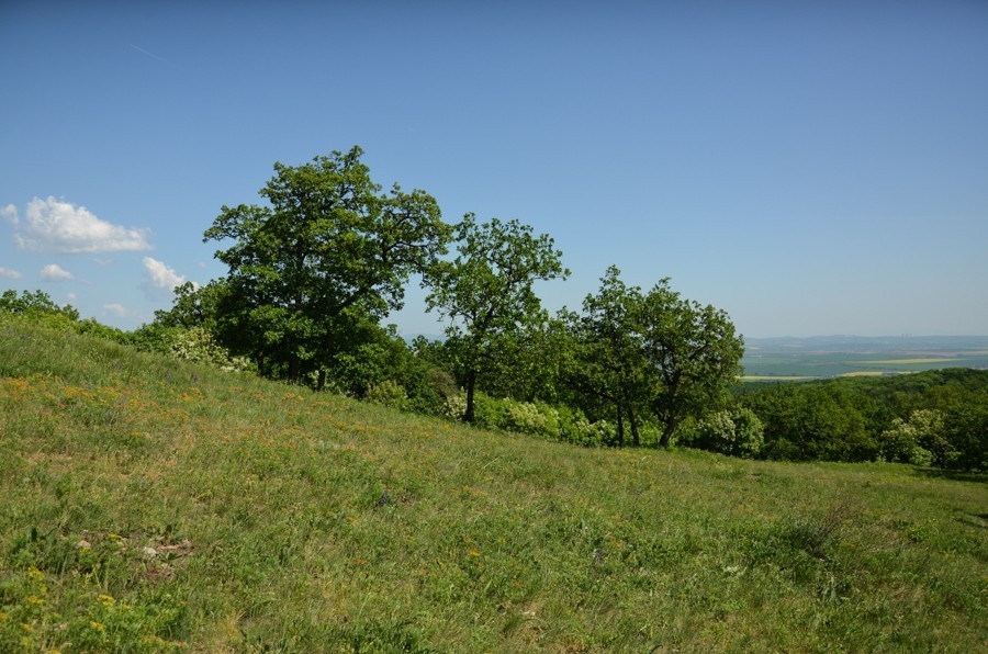 81 - Góry Trybecz (Tribeč): zamek Gýmeš i Veľký Tribeč