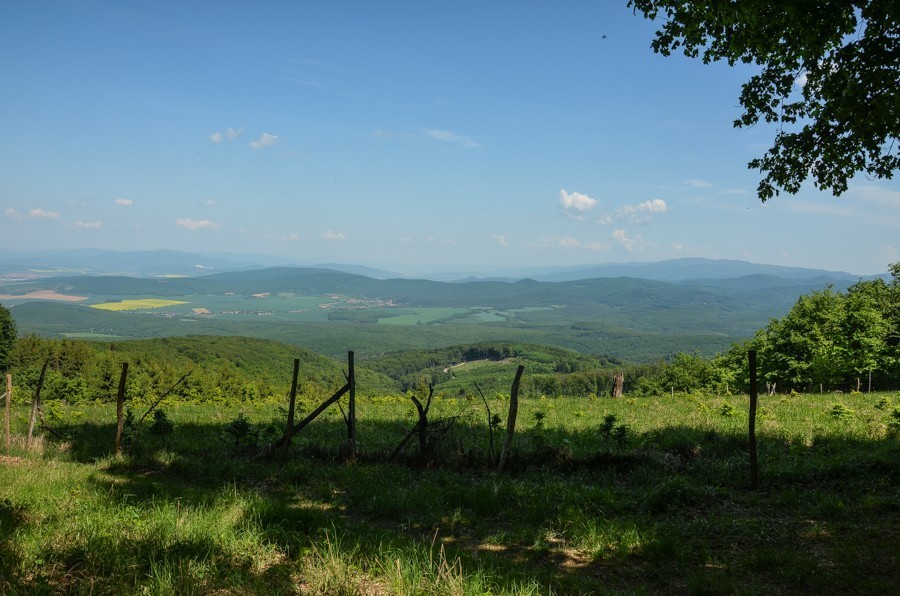 12 - Przez lasy i wiosenne łąki. Trybecz i zamek Hrušov