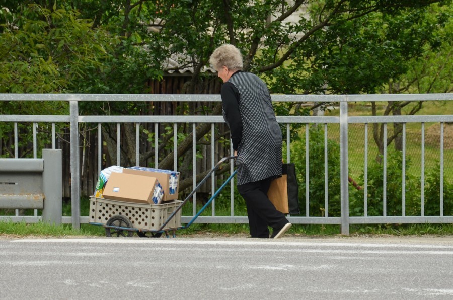 36 - Przez lasy i wiosenne łąki. Trybecz i zamek Hrušov