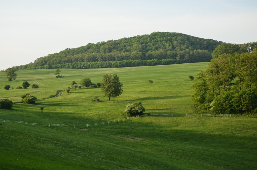 65 - Przez lasy i wiosenne łąki. Trybecz i zamek Hrušov