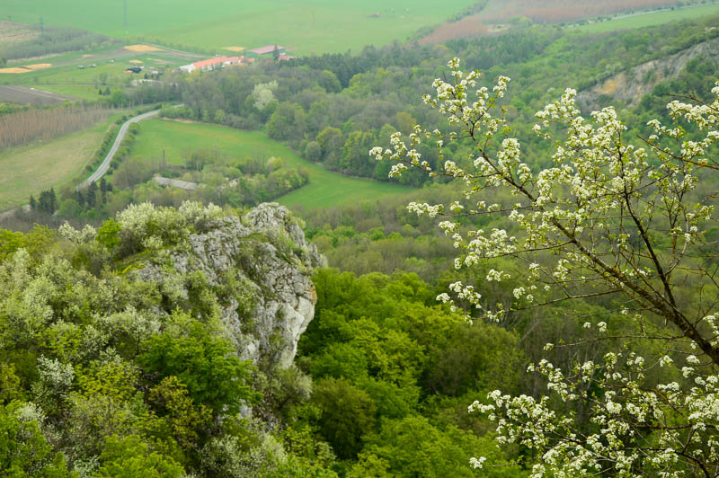  Plavecký hrad 