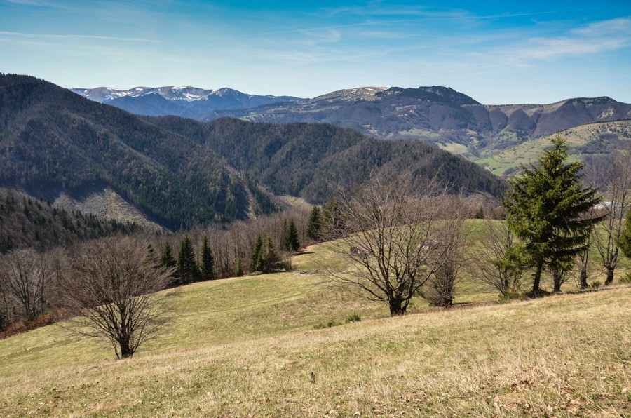 03 - Wiosenna Wielka Fatra. Zvolen i Končitá (nie Wurst)