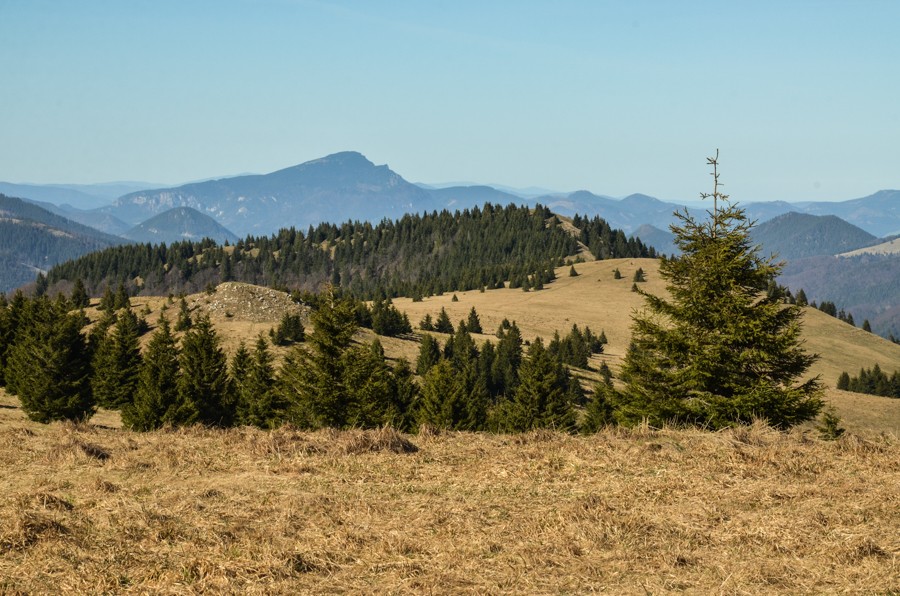 31 - Wiosenna Wielka Fatra. Zvolen i Končitá (nie Wurst)