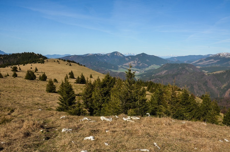 44 - Wiosenna Wielka Fatra. Zvolen i Končitá (nie Wurst)